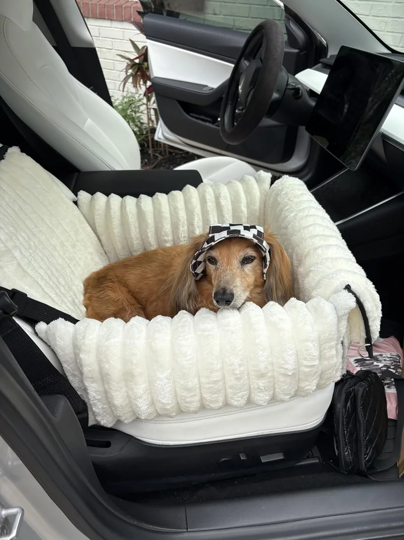 A dachshund resting in the cream ribbed seat on a white car seat
